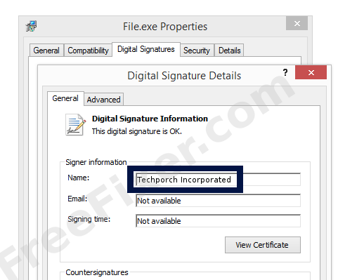 Screenshot of the Techporch Incorporated certificate